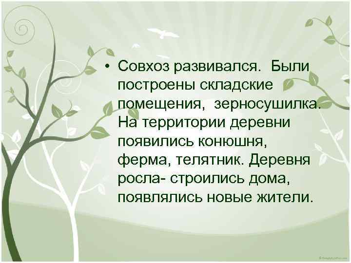  • Совхоз развивался. Были построены складские помещения, зерносушилка. На территории деревни появились конюшня,