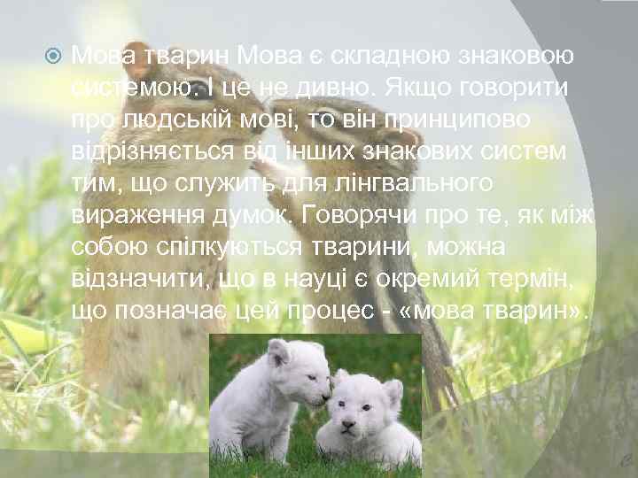  Мова тварин Мова є складною знаковою системою. І це не дивно. Якщо говорити