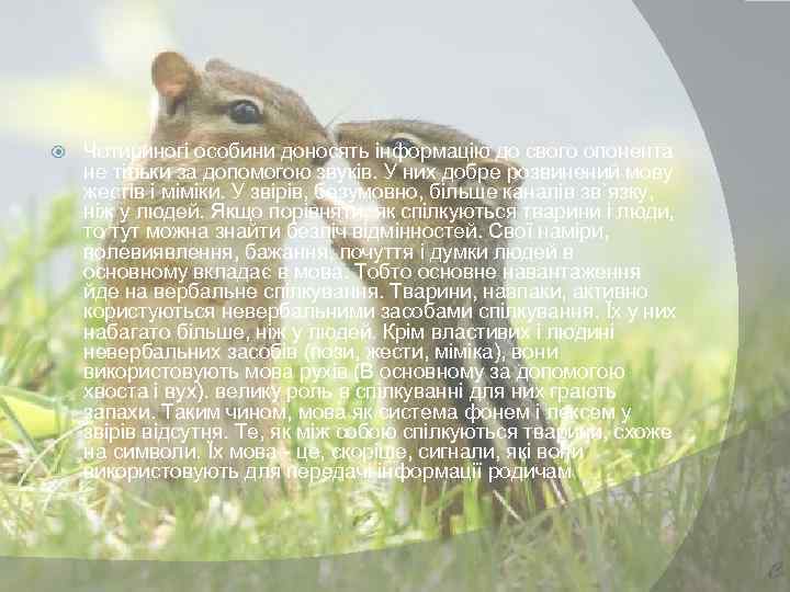  Чотириногі особини доносять інформацію до свого опонента не тільки за допомогою звуків. У