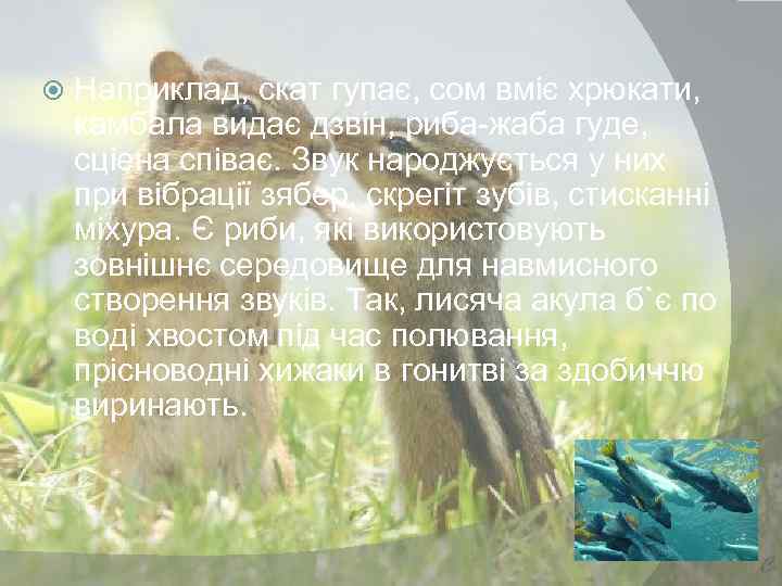  Наприклад, скат гупає, сом вміє хрюкати, камбала видає дзвін, риба-жаба гуде, сціена співає.