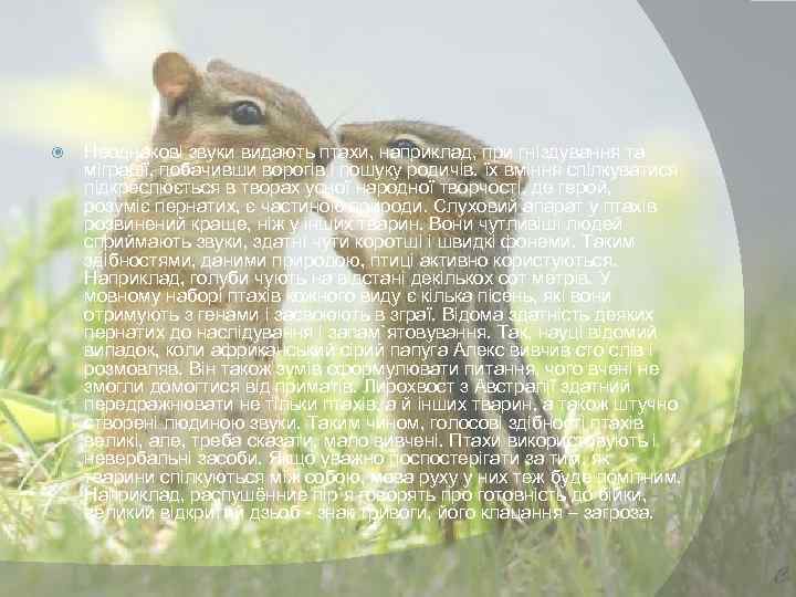  Неоднакові звуки видають птахи, наприклад, при гніздування та міграції, побачивши ворогів і пошуку