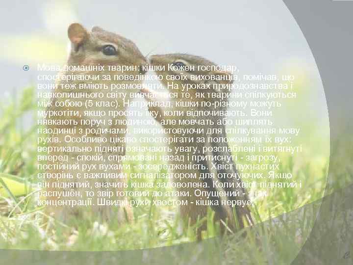  Мова домашніх тварин: кішки Кожен господар, спостерігаючи за поведінкою своїх вихованців, помічав, що