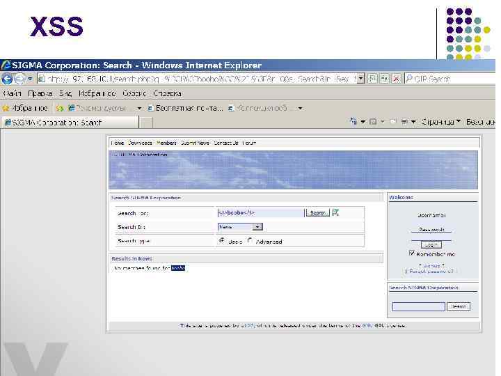 XSS 