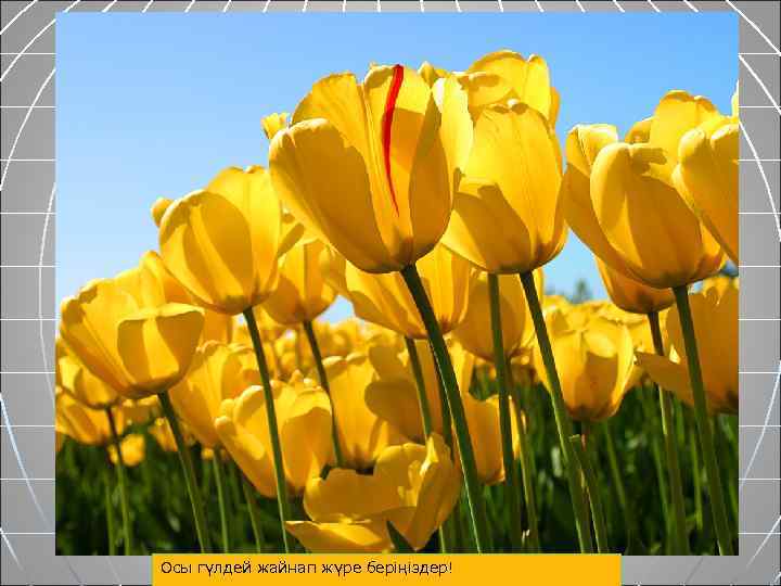 кет Осы гүлдей жайнап жүре беріңіздер! 