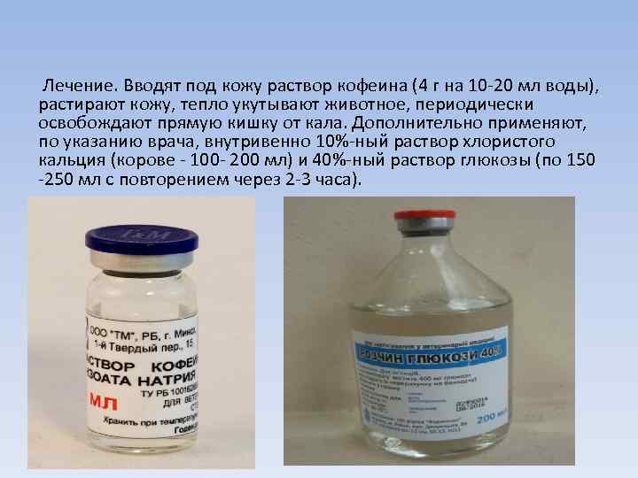 Лечение. Вводят под кожу раствор кофеина (4 г на 10 -20 мл воды), растирают