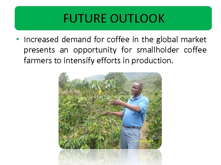 FUTURE OUTLOOK • Increased demand for coffee in the global market presents an opportunity