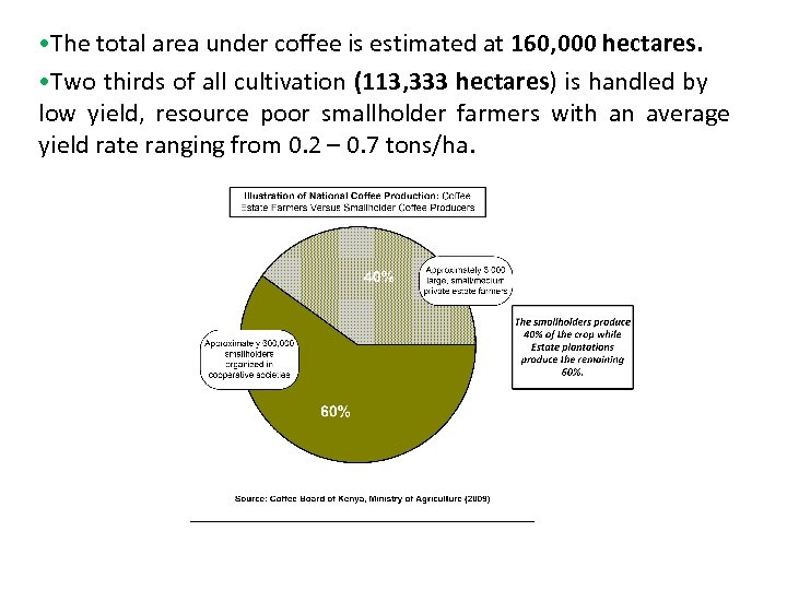  • The total area under coffee is estimated at 160, 000 hectares. •