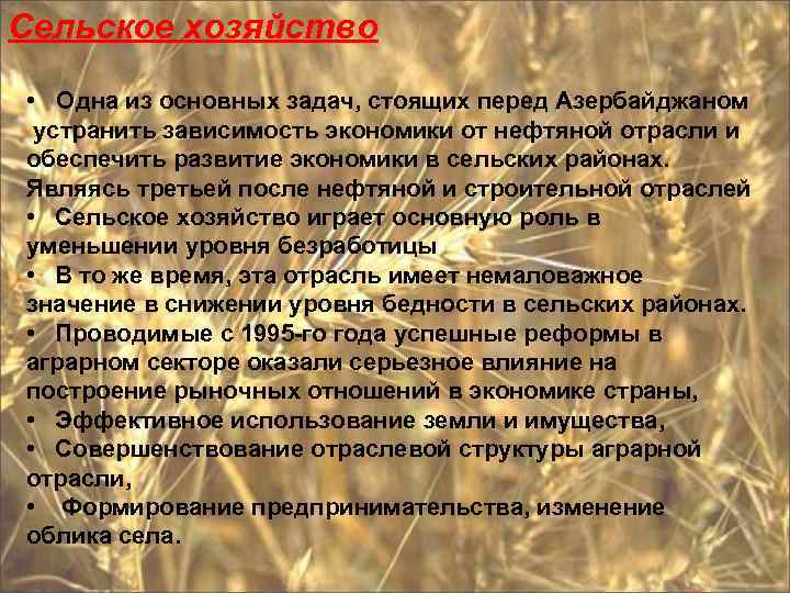  • Сельское хозяйство • Одна из основных задач, стоящих перед Азербайджаном устранить зависимость