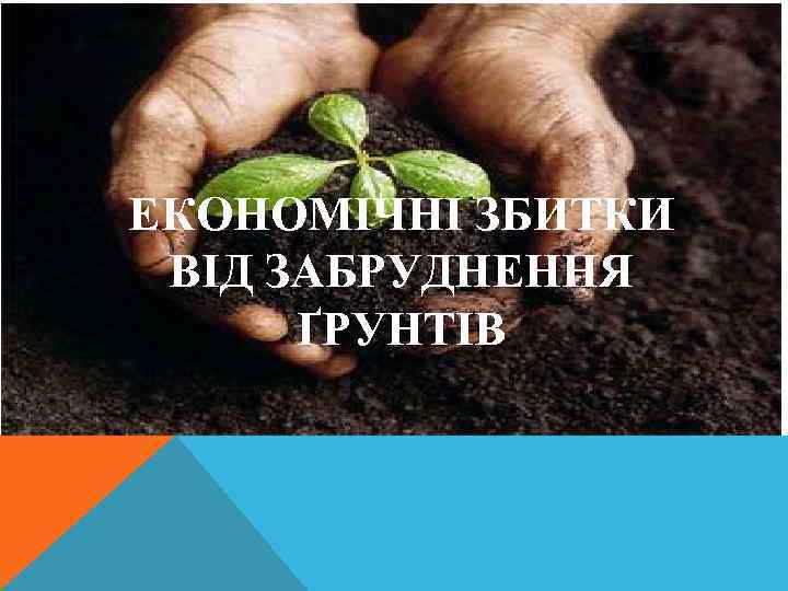  ЕКОНОМІЧНІ ЗБИТКИ ВІД ЗАБРУДНЕННЯ ҐРУНТІВ 