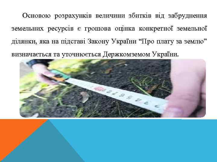 Основою розрахунків величини збитків від забруднення земельних ресурсів є грошова оцінка конкретної земельної ділянки,