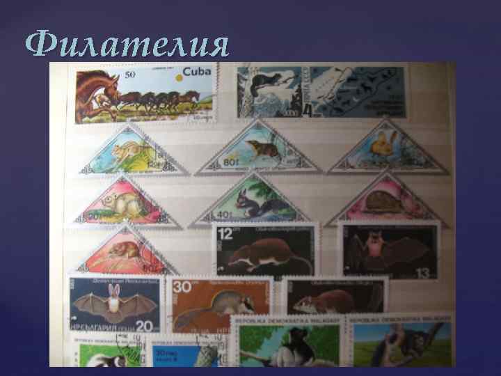 Филателия 