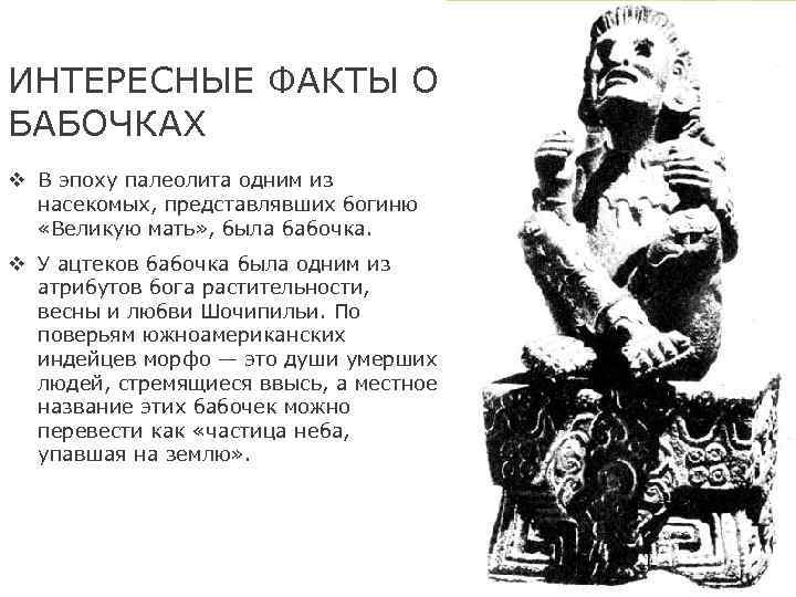 ИНТЕРЕСНЫЕ ФАКТЫ О БАБОЧКАХ v В эпоху палеолита одним из насекомых, представлявших богиню «Великую
