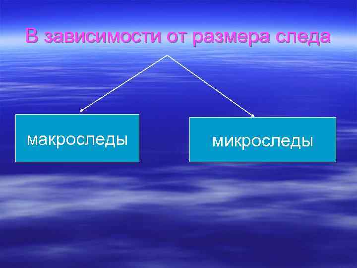 В зависимости от размера следа макроследы микроследы 