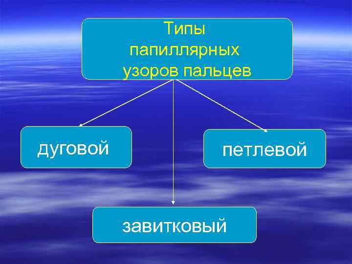 Типы папиллярных узоров пальцев дуговой петлевой завитковый 