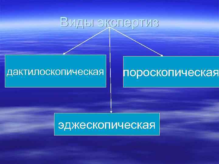 Виды экспертиз дактилоскопическая пороскопическая эджескопическая 