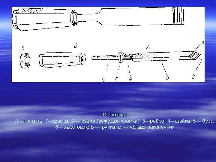 Стамеска: Л—лопасть, 1—фаска, 2—лезвие (режущая кромка), 3—ребро, 4—шейка, 5— бурт, 6— хвостовик; Б —