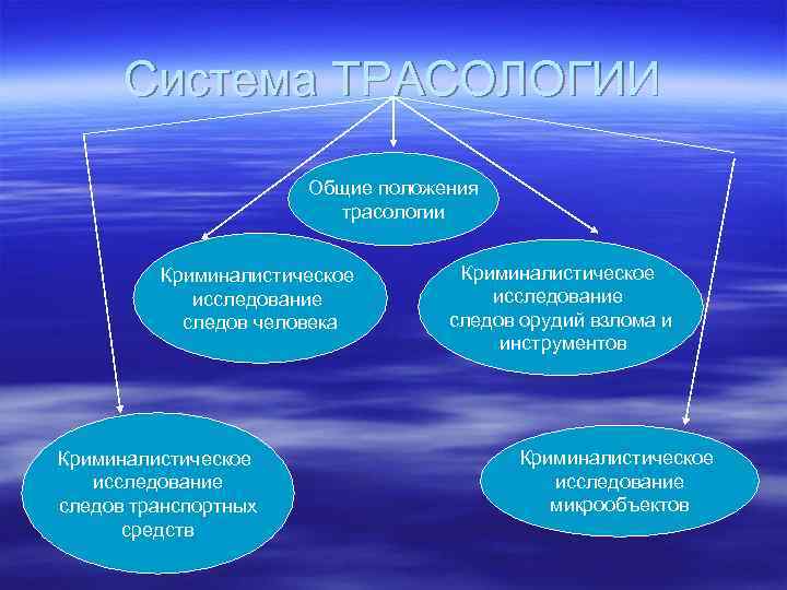 Система ТРАСОЛОГИИ Общие положения трасологии Криминалистическое исследование следов человека Криминалистическое исследование следов транспортных средств