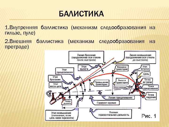 БАЛИСТИКА 1. Внутренняя баллистика (механизм следообразования на гильзе, пуле) 2. Внешняя баллистика (механизм следообразования