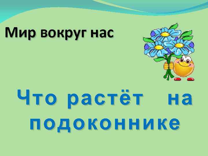 Мир вокруг нас Что растёт на подоконнике 