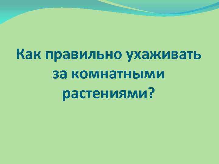 Как правильно ухаживать за комнатными растениями? 