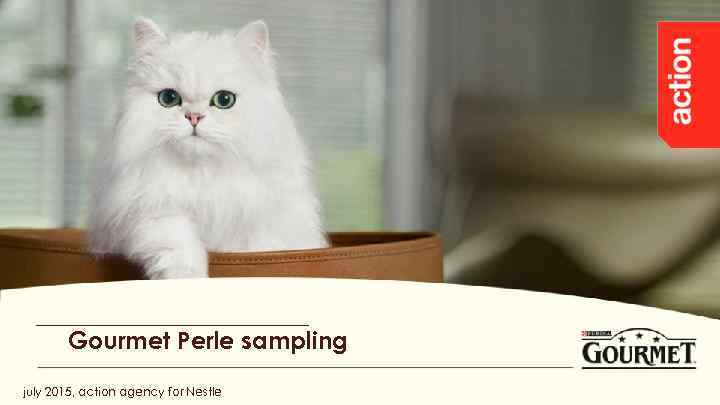 Gourmet Perle sampling july 2015, action agency for Nestle 