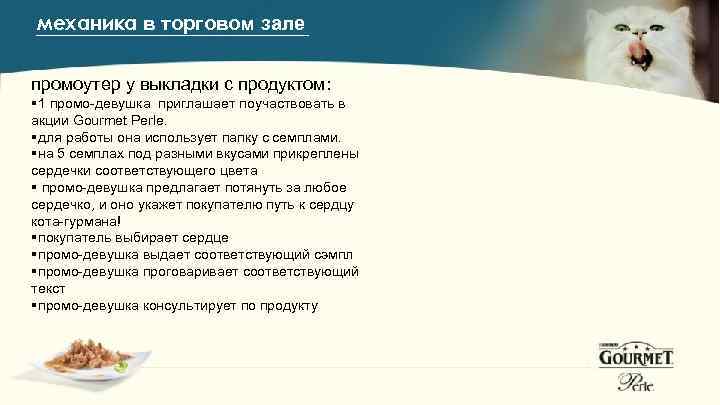 механика в торговом зале промоутер у выкладки с продуктом: § 1 промо-девушка приглашает поучаствовать