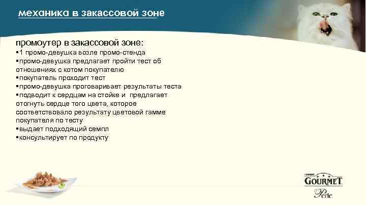 механика в закассовой зоне промоутер в закассовой зоне: § 1 промо-девушка возле промо-стенда §промо-девушка