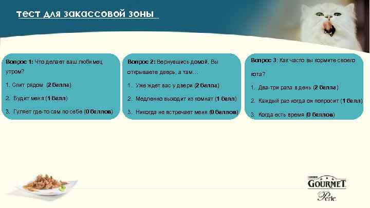 тест для закассовой зоны Вопрос 1: Что делает ваш любимец Вопрос 2: Вернувшись домой,