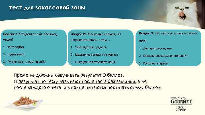 Вопросы на зоне. Целевая аудитория правильного питания. Аудитория правильного питания. Кто целевая аудитория правильного питания. Боли аудитории правильного питания.