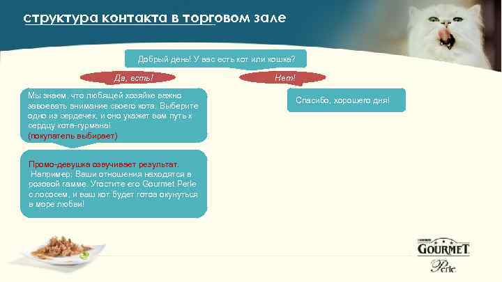 структура контакта в торговом зале Добрый день! У вас есть кот или кошка? Да,