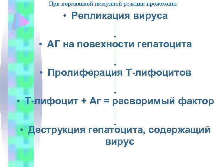 При нормальной иммунной реакции происходит • Репликация вируса • АГ на повехности гепатоцита •