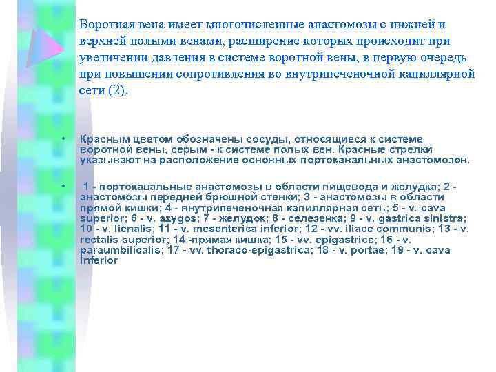 Воротная вена имеет многочисленные анастомозы с нижней и верхней полыми венами, расширение которых происходит