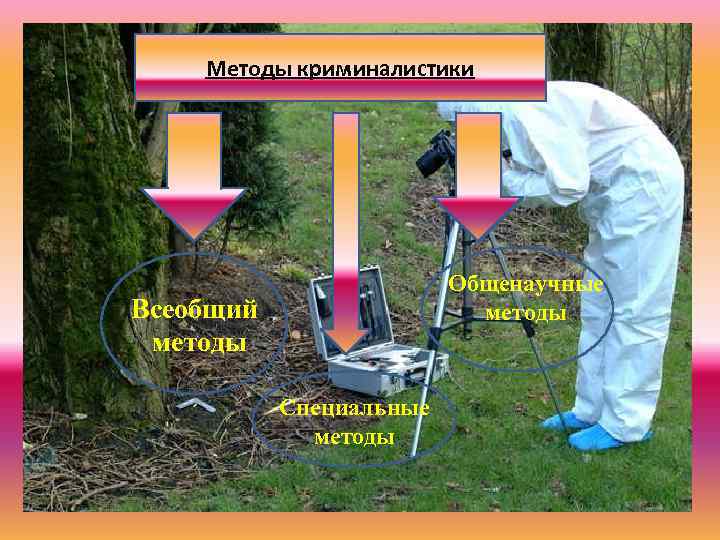 Методы криминалистики Общенаучные методы Всеобщий методы Специальные методы 