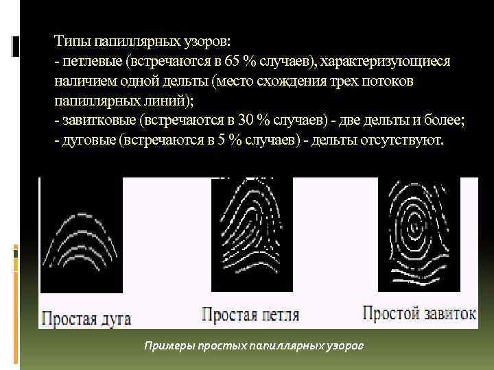 Отсутствие внутреннего рисунка и дельты свидетельствует о том что данный папиллярный узор является