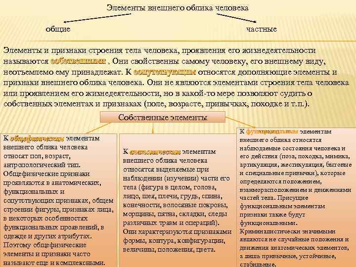 Признаки внешнего облика человека