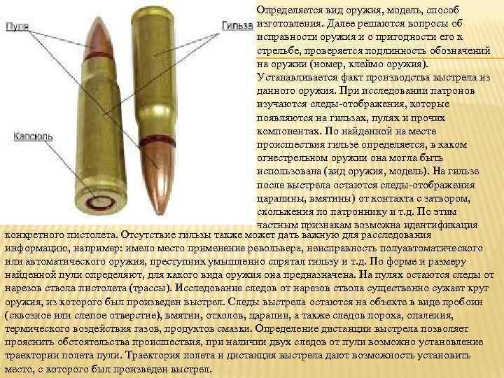 Протокол осмотра патрона образец