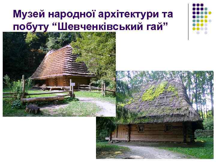 Музей народної архітектури та побуту “Шевченківський гай” 