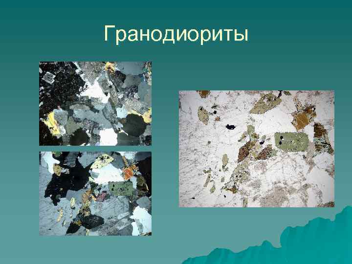 Гранодиориты 