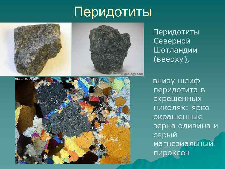 Перидотиты Северной Шотландии (вверху), внизу шлиф перидотита в скрещенных николях: ярко окрашенные зерна оливина