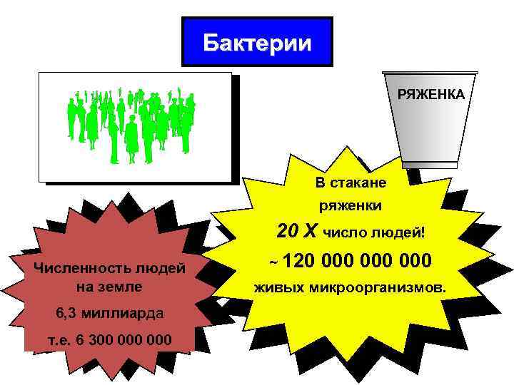 Бактерии РЯЖЕНКА В стакане ряженки Численность людей на земле 6, 3 миллиарда т. e.