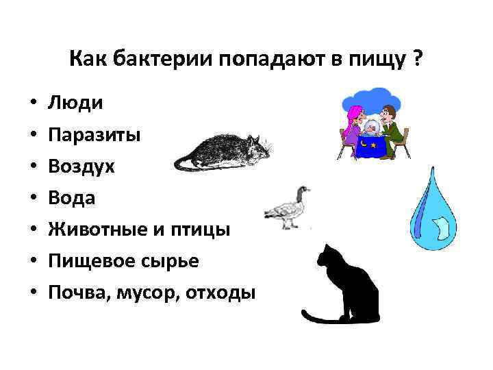 Как бактерии попадают в пищу ? • • Люди Паразиты Воздух Вода Животные и