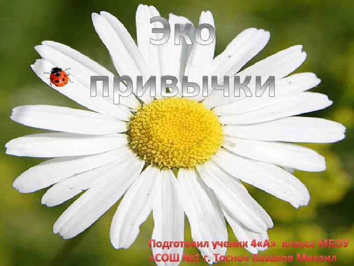 Подготовил ученик 4 «А» класса МБОУ «СОШ № 1 г. Тосно» Казаков Михаил 