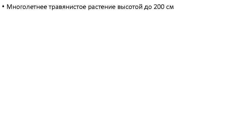  • Многолетнее травянистое растение высотой до 200 см 