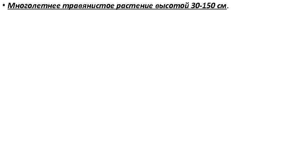  • Многолетнее травянистое растение высотой 30 -150 см. 