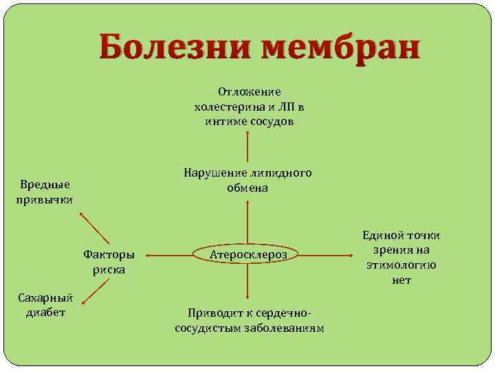 Нарушение мембран клетки. Болезни связанные с нарушением мембран. Болезни, связанные с изменением мембран. Болезнь неотимпанальной мембраны. Липидный обмен схема физиология.