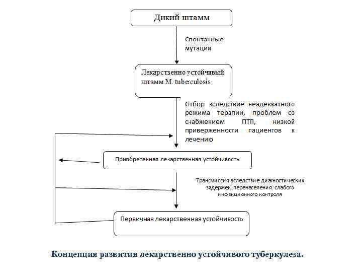 Концепция развития лекарственно устойчивого туберкулеза. 