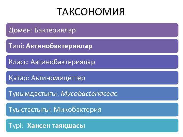 ТАКСОНОМИЯ Домен: Бактериялар Типі: Актинобактериялар Класс: Актинобактериялар Қатар: Актиномицеттер Тұқымдастығы: Mycobacteriaceae Туыстастығы: Микобактерия Түрі: