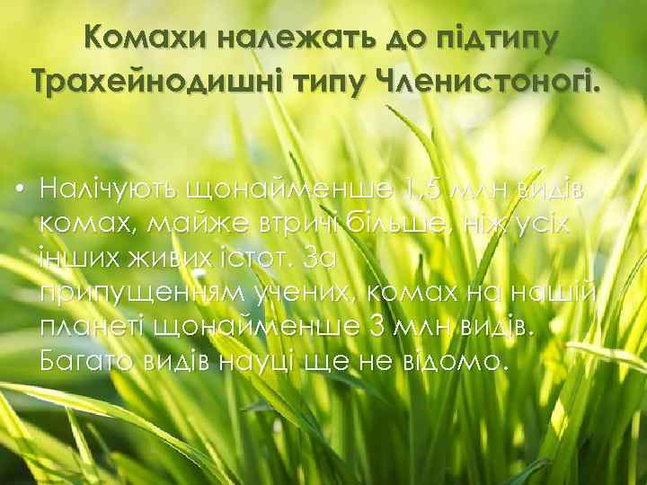 Комахи належать до підтипу Трахейнодишні типу Членистоногі. • Налічують щонайменше 1, 5 млн видів