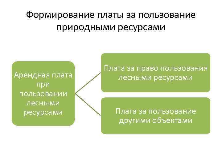 Формирование платы за пользование природными ресурсами Арендная плата при пользовании лесными ресурсами Плата за