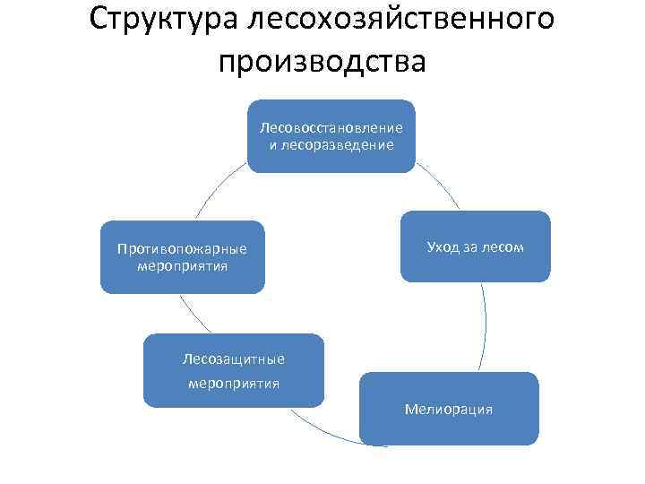 Структура лесохозяйственного производства Лесовосстановление и лесоразведение Противопожарные мероприятия Уход за лесом Лесозащитные мероприятия Мелиорация